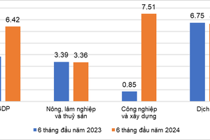 Khu vực dịch vụ - điểm sáng của kinh tế Việt Nam nửa đầu năm nay