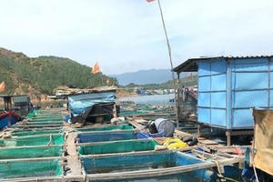 Hãm hiếp, hành hung 2 mẹ con trên bè cá giữa biển: Hành vi có tính chất côn đồ