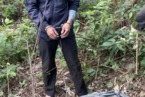 Quảng Bình: Bắt đối tượng trộm dây cáp điện