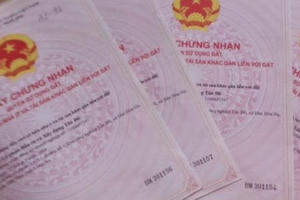 Hà Tĩnh: Khai trừ khỏi Đảng, buộc thôi việc một công chức địa chính "vòi tiền" người dân