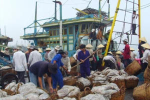 Quyết tâm gỡ “thẻ vàng” về khai thác hải sản