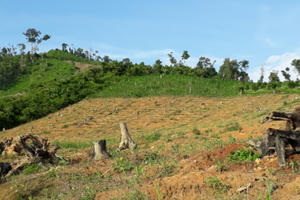 Đắk Lắk: Điểm nóng về phá rừng ở huyện Ea Kar hé lộ nhiều dấu hiệu khuất tất Đắk Lắk: Điểm nóng về phá rừng ở huyện Ea Kar hé lộ nhiều dấu hiệu khuất tất