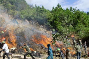 Thủ tướng chỉ đạo tăng cường phòng cháy, chữa cháy rừng