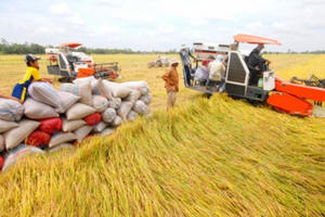 Vượt biến động tăng giá bất ngờ, thế mạnh Việt Nam tính thu 3 tỷ USD