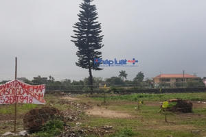 Thái Bình: Vì sao chủ đầu tư vội vàng tạm dừng đấu giá khu dân cư thôn Phú Xuân