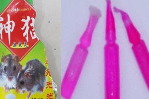 Ăn nhầm thuốc diệt chuột, 3 anh em tại Nghệ An thương vong