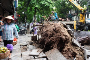 Hà Nội: Nhiều tuyến phố ngập úng, cây lớn đổ ngang đường