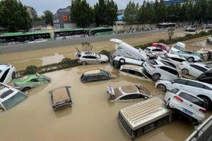 Ô tô bị ngập trong lũ ở nước ngoài liệu có về Việt Nam?