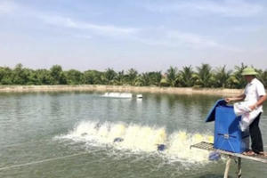 Tổ vay vốn - ngôi nhà thứ hai của nông dân