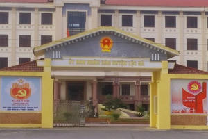 Hiệu quả của việc kịp thời