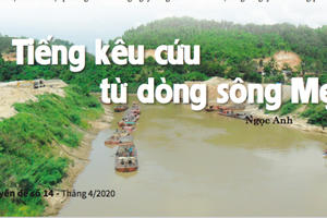 Tiếng kêu cứu từ dòng sông Mẹ