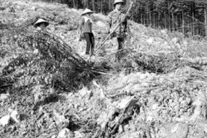 57 ngàn ha đất lấn chiếm, tranh chấp không kiểm soát được