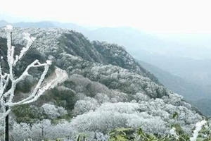 Băng giá phủ trắng Tà Xùa trong cái lạnh độ âm