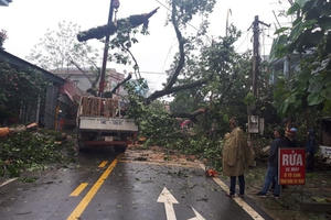 Cây đa cổ thụ đổ rạp xuống đường ĐT 314, ách tắc giao thông trong nhiều giờ Cây đa cổ thụ đổ rạp xuống đường ĐT 314, ách tắc giao thông trong nhiều giờ