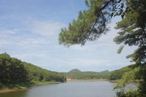 Ninh Bình: Nhiều vi phạm trong quản lý, sử dụng đất có nguồn gốc từ nông lâm trường