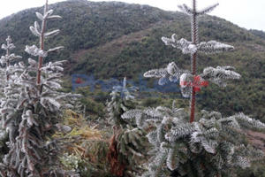 Tin thời tiết ngày 21/2: Bắc Bộ tiếp tục rét hại, vùng núi khả năng xảy ra băng giá, mưa tuyết