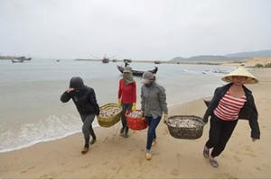 Chính phủ báo cáo Quốc hội thiệt hại do sự cố cá chết