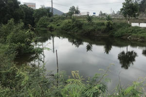 Kênh nhà Lê bị “nhuộm” đen, bốc mùi hôi thối bất thường chưa rõ nguyên nhân