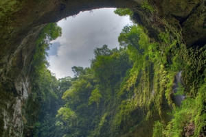 Liên hoan phim New York vinh danh Sơn Đoòng Liên hoan phim New York vinh danh Sơn Đoòng