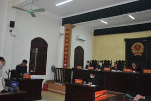 Đòi tiền không được, con rể giết mẹ vợ