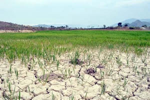 Thủ tướng chỉ đạo tập trung ứng phó hạn hán tại Trung Bộ