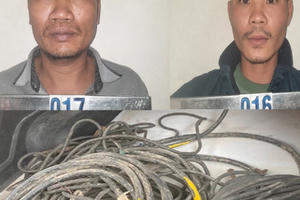 Công an Thanh Hoá bắt 2 đối tượng trộm cắp dây cáp điện tại nhà máy xi măng Long Sơn