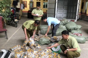 Lạng Sơn: Bắt giữ, tiêu hủy hàng nghìn chân gà nhập lậu