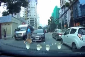 [Clip]: Ngán ngẩm với pha sang đường kiểu "thách thức tử thần"