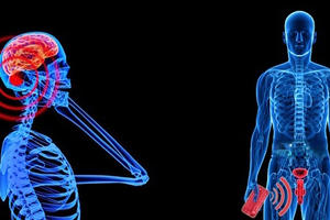 Sóng điện thoại ảnh hưởng đến sức khỏe sinh sản của nam giới.