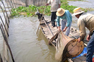 Đổi mới & Thích ứng: Làm kinh tế nông nghiệp, vừa khỏe vừa bền