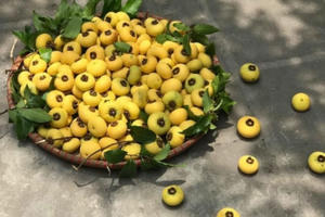 Có khoảnh khắc ta học cách sống tử tế