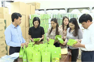 Thu hút đầu tư, xây dựng thương hiệu du lịch Thanh Thủy