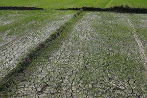 Thách thức quản lý bền vững tài nguyên nước