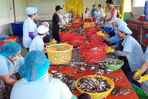 Khởi nghiệp từ 44 triệu đồng