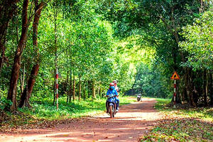 Đồng Nai đầu tư 500 tỷ cho du lịch rừng tại Biên Hòa