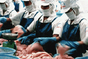 Khai báo ngày "đèn đỏ" là quyền, không phải nghĩa vụ