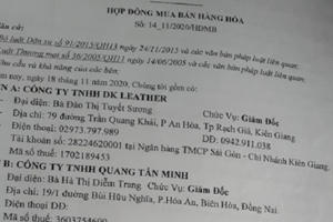 Vì sao chưa xem xét, giải quyết việc Công ty TNHH DK Leather có dấu hiệu lừa đảo chiếm đoạt tài sản