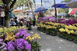 Nông dân lo lắng hoa tết vắng khách mua