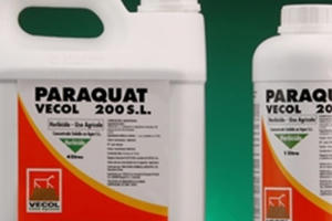 Ngộ độc thuốc diệt cỏ paraquat: Những cái chết ám ảnh