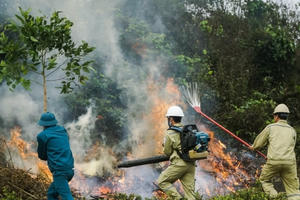 Tăng cường các biện pháp cấp bách phòng cháy, chữa cháy rừng