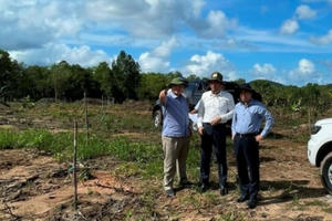 Kiểm tra, xử lý các hành vi vi phạm pháp luật về đất đai tại TP Phú Quốc