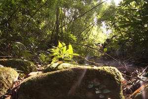 Yên Tử sẽ có thêm một điểm đến mới