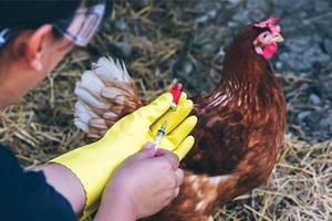 Bộ Y tế mở rộng danh mục bệnh phải giám sát chặt