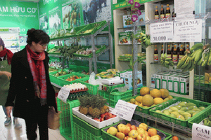 Nhập nhèm nguồn gốc thực phẩm hữu cơ Organic