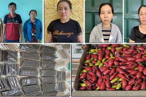 Triệt phá đường dây mua bán trái phép hàng nghìn kg vật liệu nổ