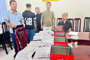 Hải quan triệt phá 3 vụ án ma túy, bắt giữ 3 đối tượng, thu 30kg cần sa