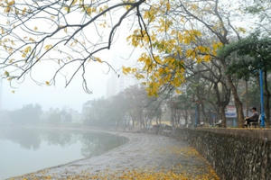 Dự báo thời tiết ngày 9/4: Bắc Bộ tiếp tục chuỗi ngày mưa rét