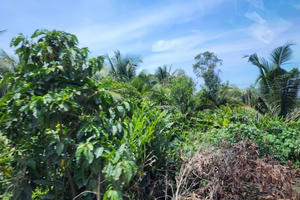 Vì sao chưa thể giải phóng mặt bằng cho dự án Vành đai 3 TP Hồ Chí Minh?