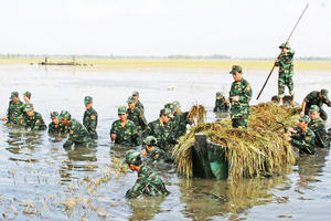 Quân đội chuẩn bị sẵn sàng cứu hộ, cứu nạn và giúp dân ứng phó bão số 11