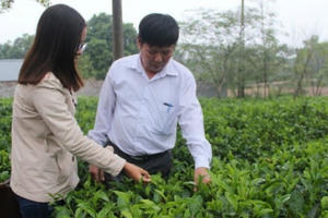 Tin kinh tế 6AM: Hành trình “hồi sinh” thương hiệu chè sạch nức tiếng Thủ đô